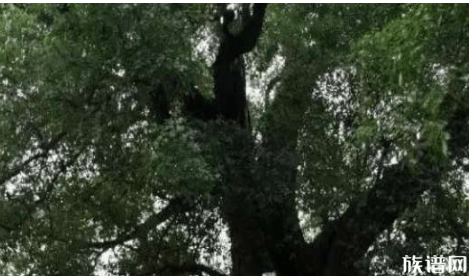 此人竟以为皇帝会因为自己功劳大而让位，最后下场很凄惨