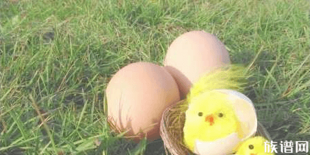 就因为吃鸡蛋的事情，差点被乾隆治了罪，这鸡蛋镶金了吗