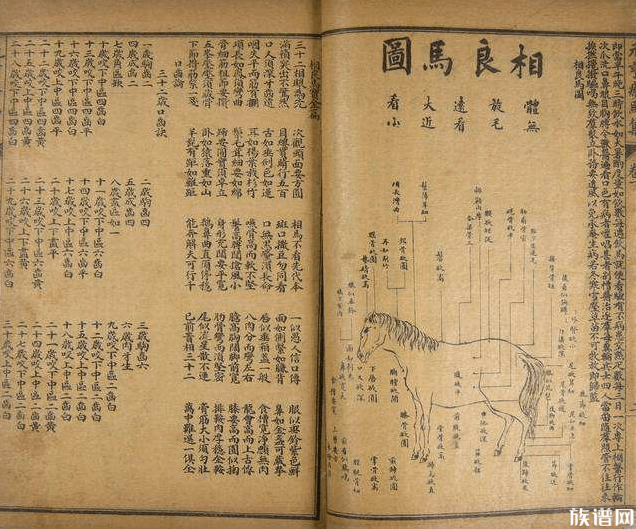 王文素是那个朝代的人,他的历史成就有哪些?