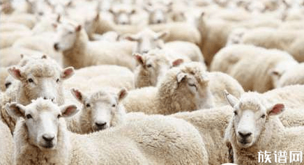 全天下的盗墓贼都找不到，他的墓中估计还存在兵家之书