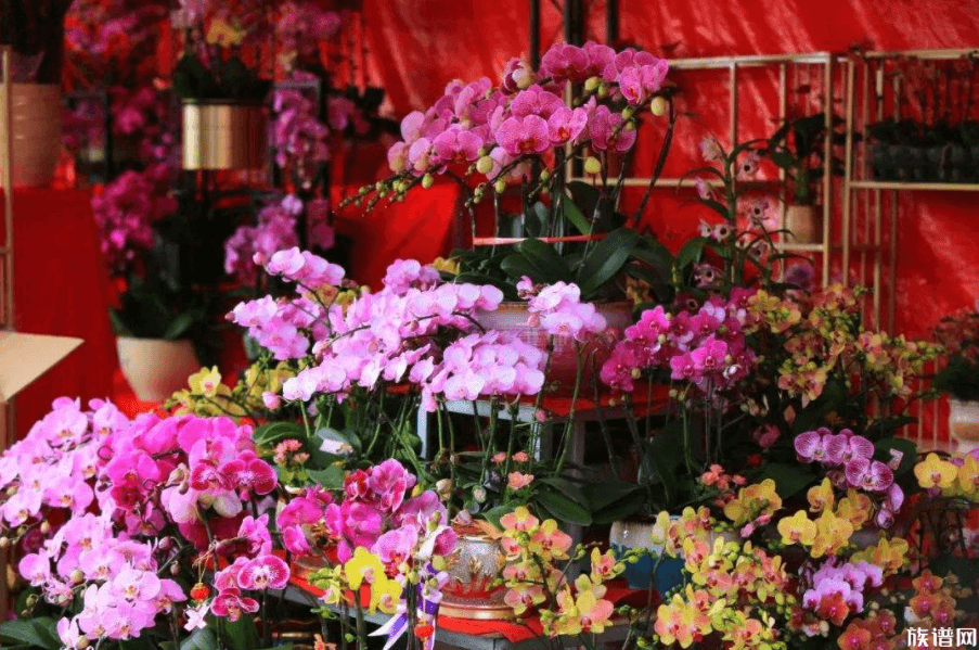 玫瑰价格暴涨，古代有花市和花艺师吗？