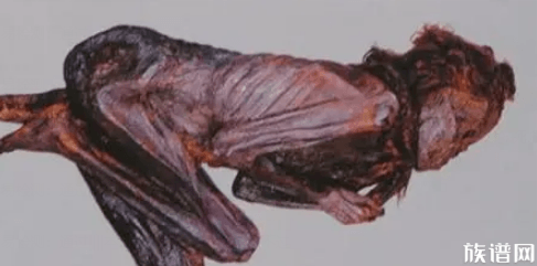 考古发现:揭丝绸之路上的千年干尸