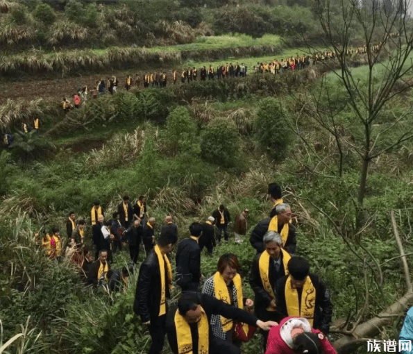冯京后裔2016年垅口冯氏传统古村落成功举行清明公祭活动