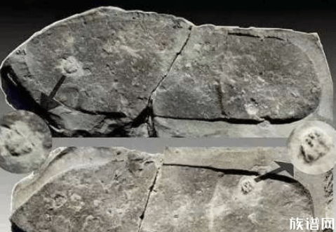 古代也有人类文明，人类曾灭绝过几次？