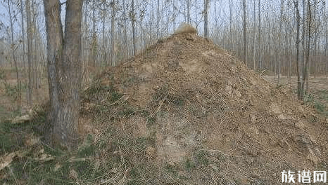 他堪称第一“混蛋”皇帝，死后埋在这里，谁都找不到他的陵墓