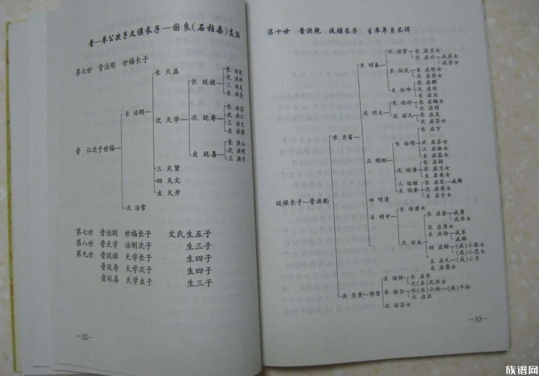 寻根查谱的基本术语你了解吗?千万不要半懂不懂耽误事!