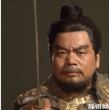 庞德的儿子为父报仇,终究还是功亏一篑