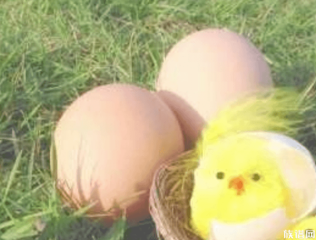 春分节气的含义是什么?为什么要竖蛋