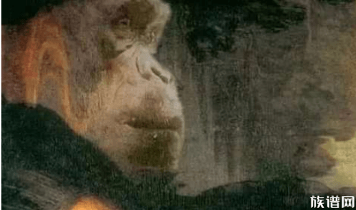 揭秘蒙娜丽莎隐藏的秘密，画上还有四种动物