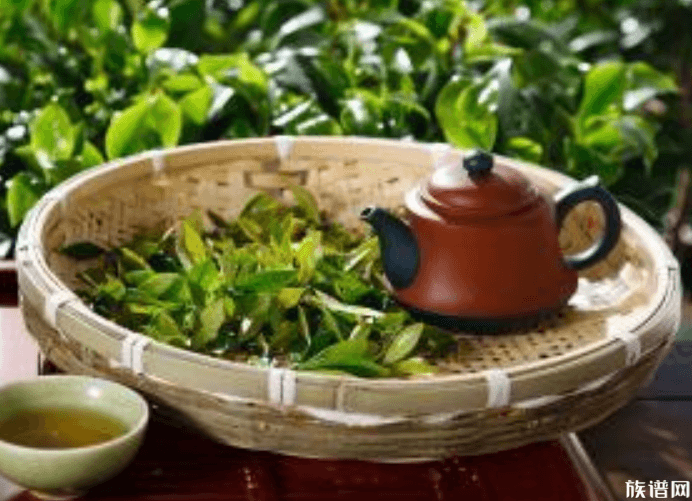 做清明果的草是叫什么,清明将至各地食俗探究