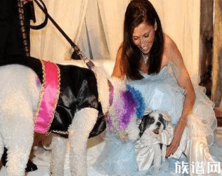 美国动物杂志创办人为爱犬办了一个全球最豪华的宠物婚礼