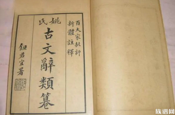 《古文辞类纂》：反映“桐城派”观点的一部古文总集