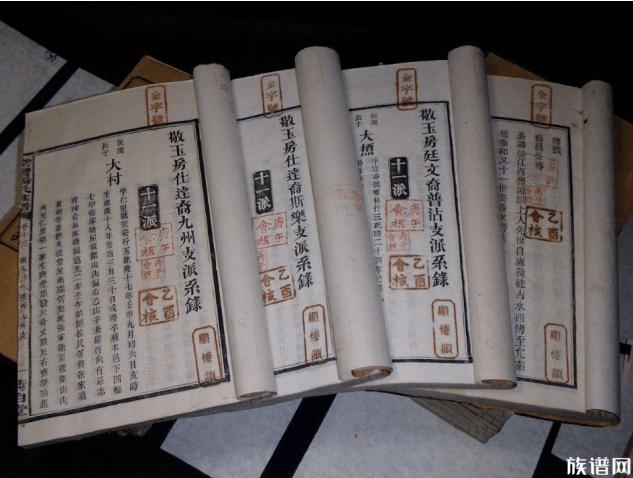 依据家谱寻根的误区在哪里?