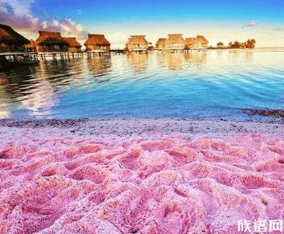 世界上最浪漫的粉红沙滩 看到这麽浪漫的地方怎麽能不心动！