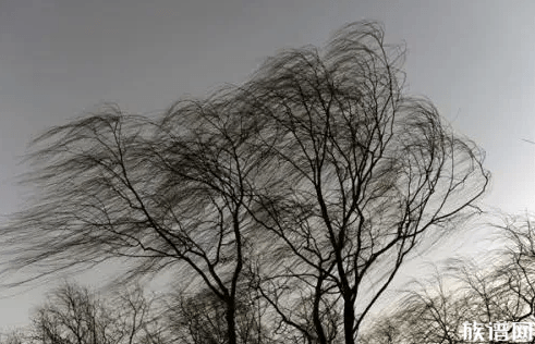 一小伙被大风吹起离地近三米古代有哪些关于大风天气的记载