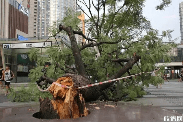 一小伙被大风吹起离地近三米,古代有哪些关于大风天气的记载?