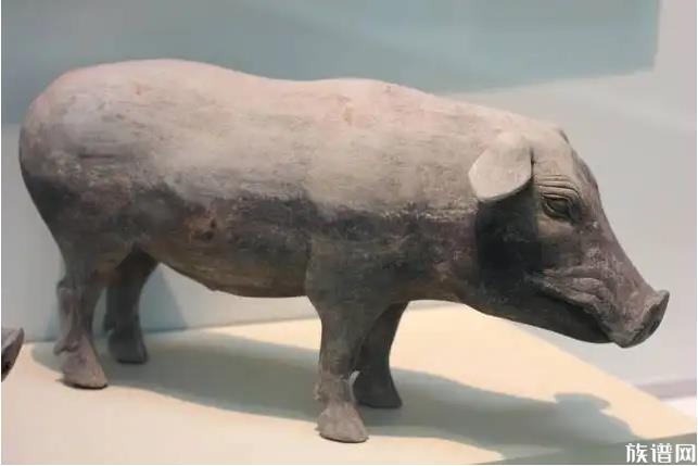 上海一解剖学教授帮邻居分割猪肉,古代吃猪肉吗?