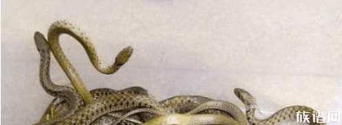 历史上《博物志》书中记载的5大谣言，你听过哪个？