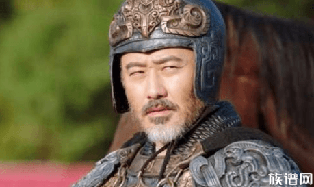 他打败诸葛亮，却被司马懿设计害死，司马懿是害怕他还是？