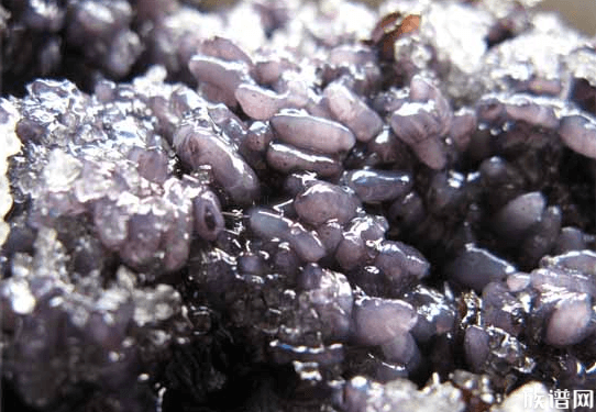 今日立夏，农历立夏的寓意象征和民俗探寻