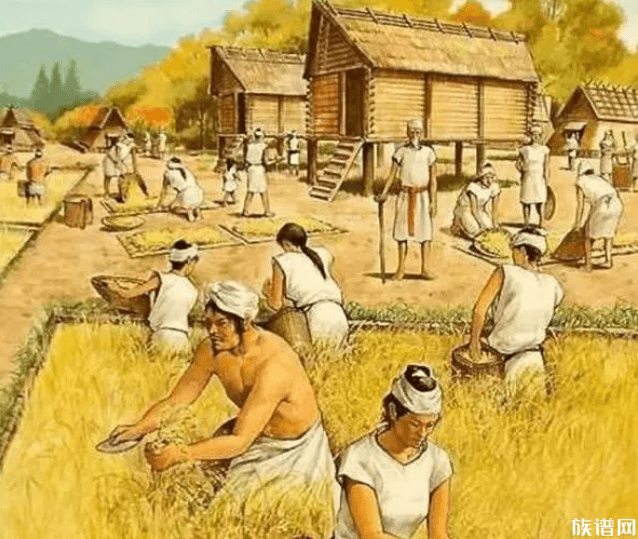 河北种粮大户70亩麦田一夜间被毁,古代有哪些保障粮食产量的措施?