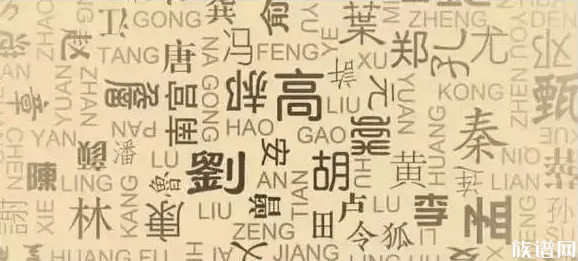 中国姓氏的发展经历了怎样的历程?