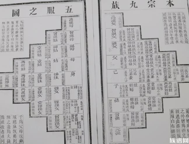 家谱中的风俗礼仪有何作用？它是根据什么而形成的？