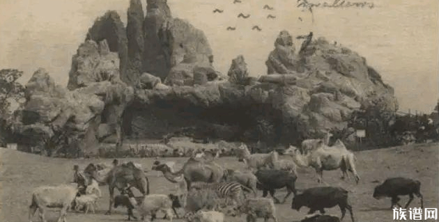 动物园一猴子长着国字脸络腮胡,古代的动物园长什么样子?