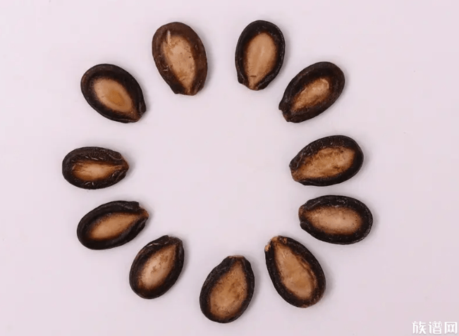 新郎结婚时淡定嗑瓜子似路人,古代是什么时候开始有瓜子的?