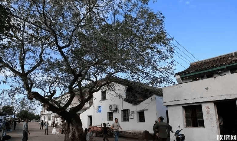 西坞街道四维村,一起探究这古老的村庄