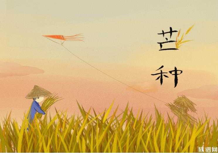 今日芒种，你知道芒种的由来和习俗吗？