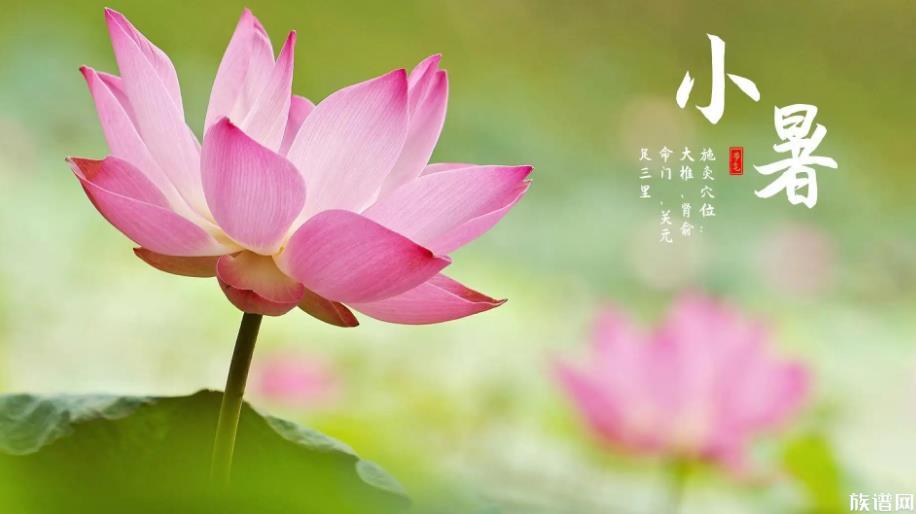 今日小暑，小暑节气的由来和风俗，你知道吗？