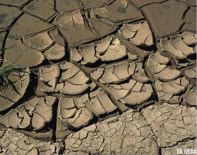 高温橙色预警:这些地方40℃以上,古代夏天有现在这么热吗?