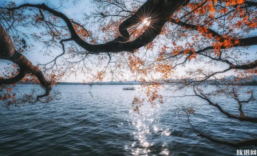 写有“一枝红杏出墙来”的叶绍翁,他还有哪些诗作?