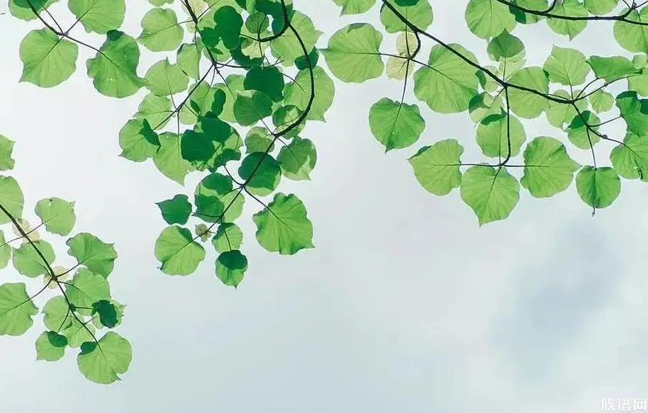 中伏来了!持续20天,你知道三伏天的由来和习俗吗?