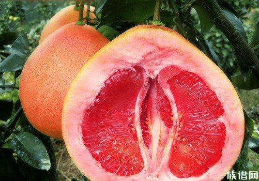 今日出伏,来看看古人出伏的时候都会做什么