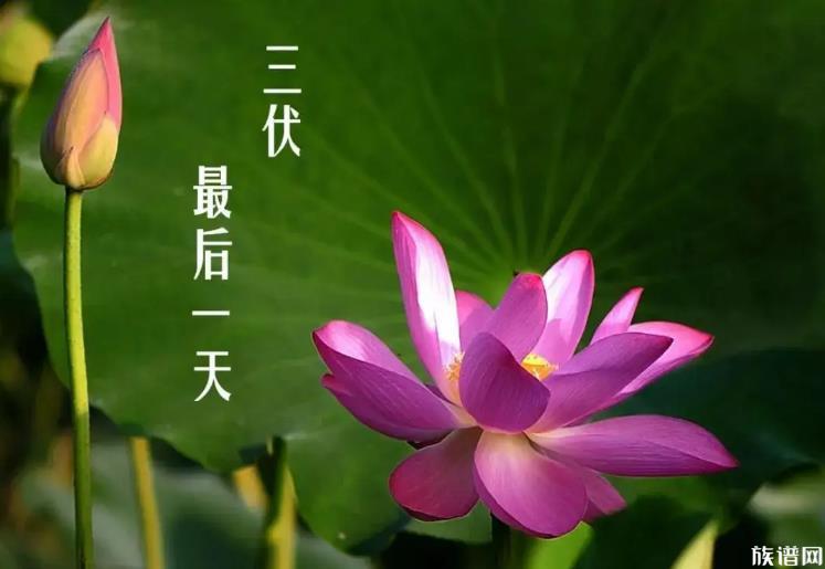 三伏结束了,古人出伏后有什么讲究?