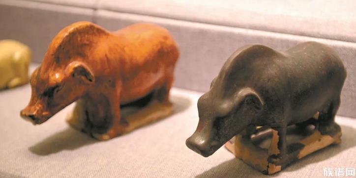 在猪圈装空调:“我现在都在猪圈休息”,古人是怎么养猪的?