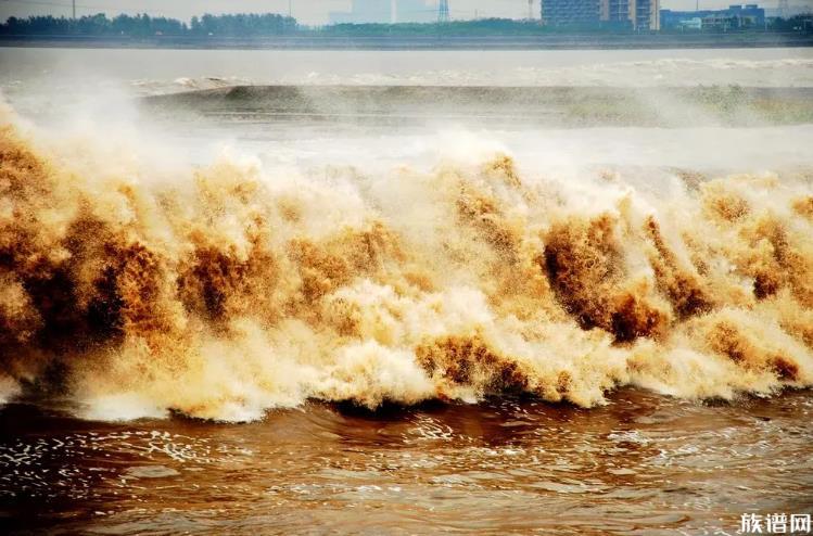 钱塘江大潮退去现“大地之树”景观，钱塘江观潮始于何时？