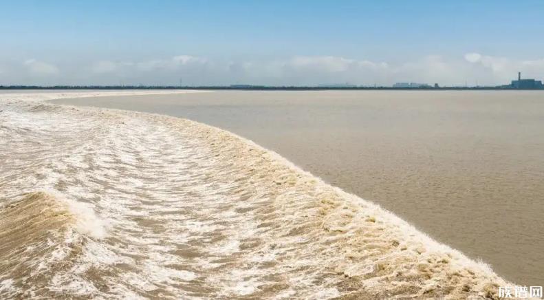 钱塘江大潮退去现“大地之树”景观，钱塘江观潮始于何时？