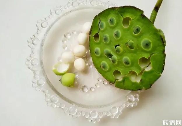 古代著名的美食家,除了苏轼还有谁?