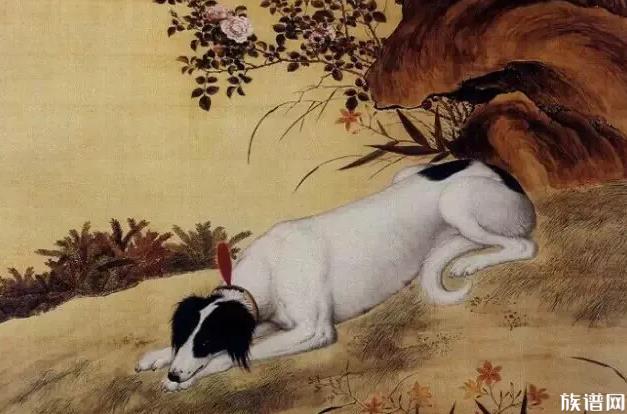 独狼袭击羊群被不到1岁藏獒赶跑，古代狗的种类是怎么分的？