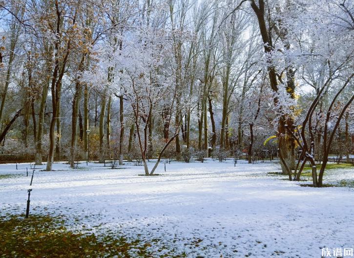 今年冬天初雪时间表出炉，古代描写初雪的诗词你知道多少？