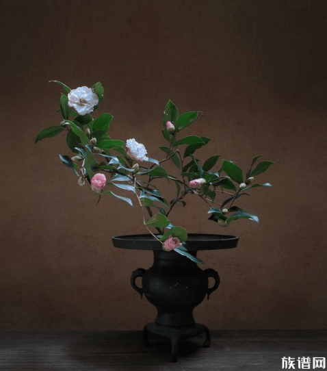 中国传统文化--插花,有着怎样的独特意蕴?