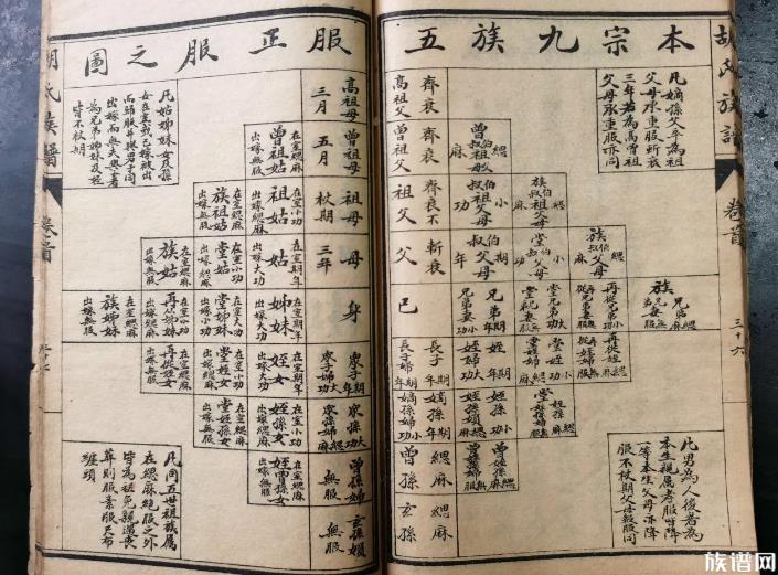 家谱中容易忽略,但不可缺少的两点内容,你知道是什么吗?