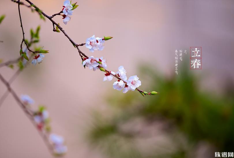 今日立春，你知道立春的来历和风俗吗？