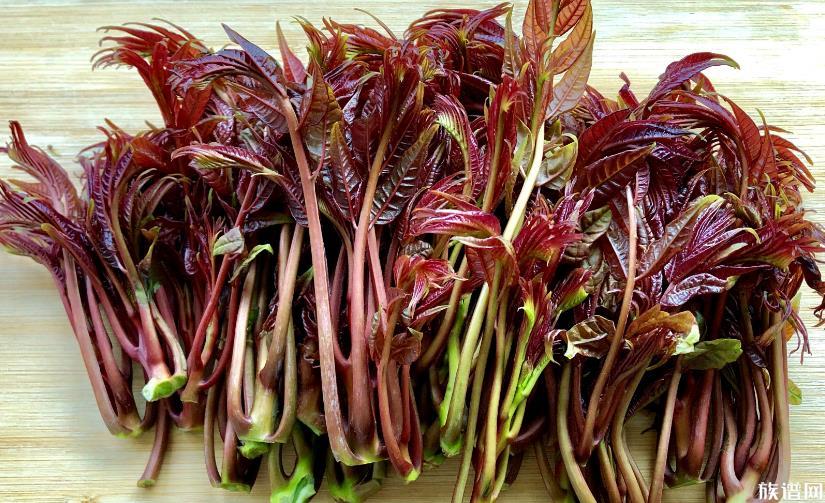 “春芽刺客”每斤138元,香椿的历史你知道吗?