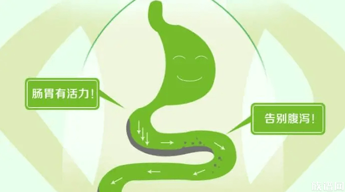 古代也有益生菌?古人消化不良怎么办?