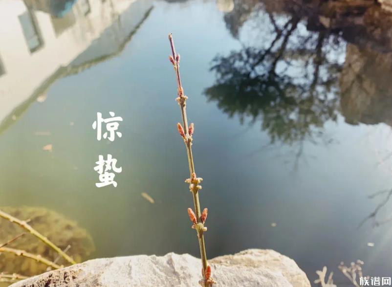 今日惊蛰,春回大地,你知道惊蛰的来历和风俗吗?