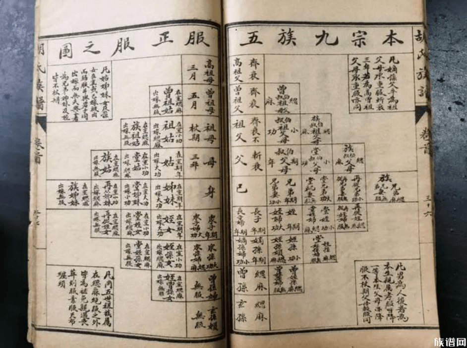 家谱编辑与增订的一般步骤是什么?